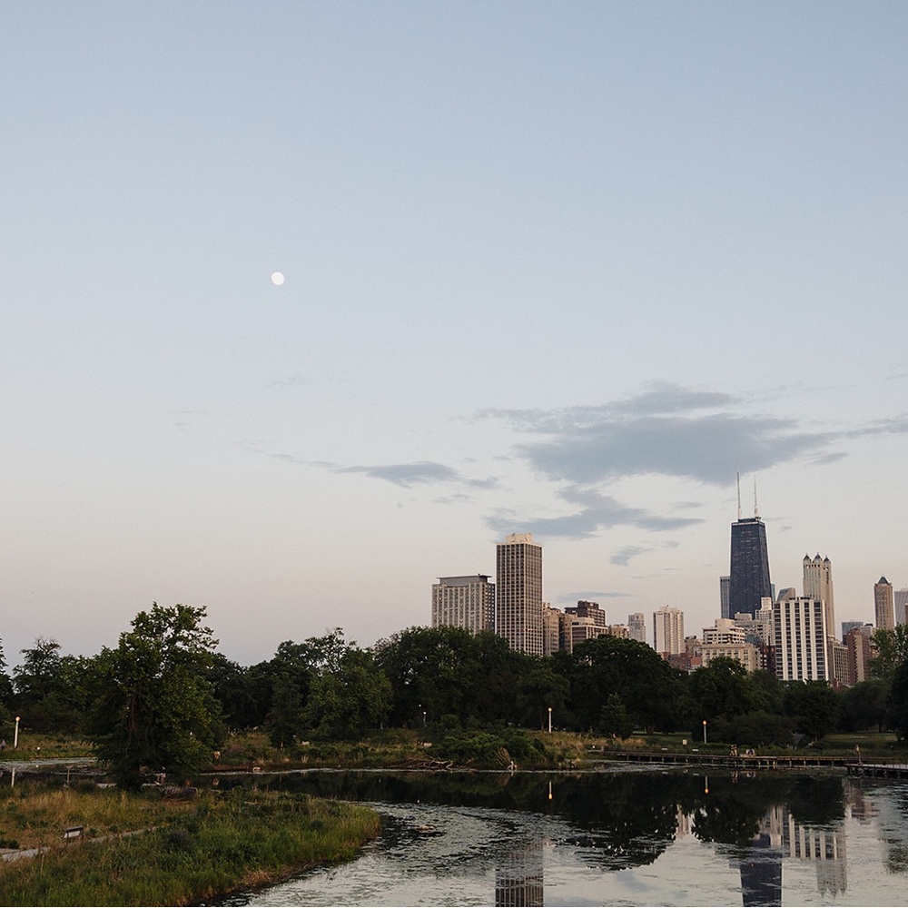 Meet your Posher, Shelby